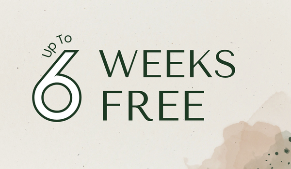 Fall Into Savings at Solis Midtown